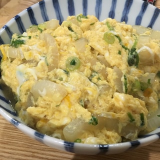 簡単！新玉ねぎの玉子丼。